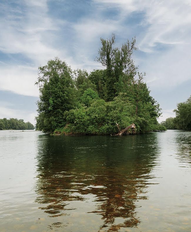 Das Naturschutzgebiet Wolfzahnau in Augsburg