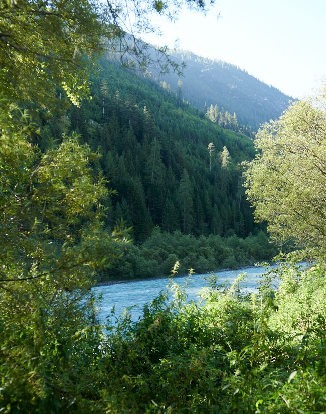 Schneeweide Kiefernwald bei Häselgehr - Sehenswürdigkeit entlang des Lechradwegs.