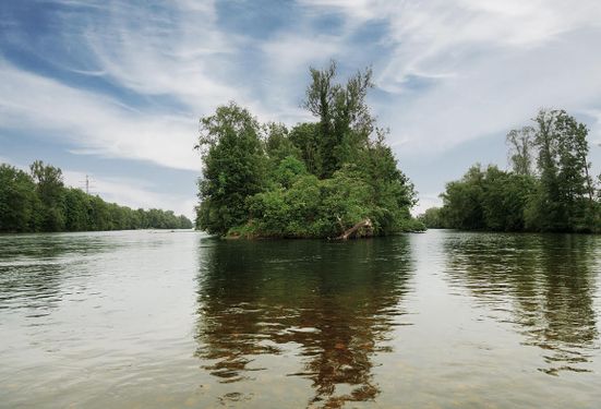 Das Naturschutzgebiet Wolfzahnau in Augsburg